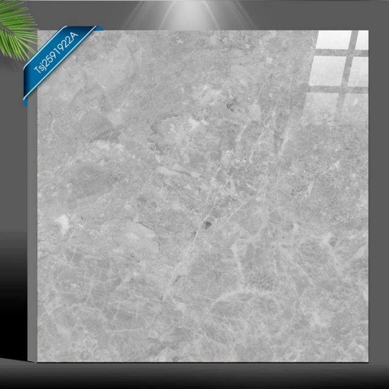600x600mm Tile for Living Spaces Manufacturer